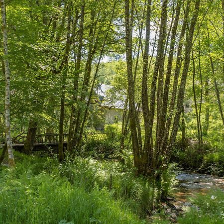 Gite Nature Le Moulin Vitrac-sur-Montane Exterior photo