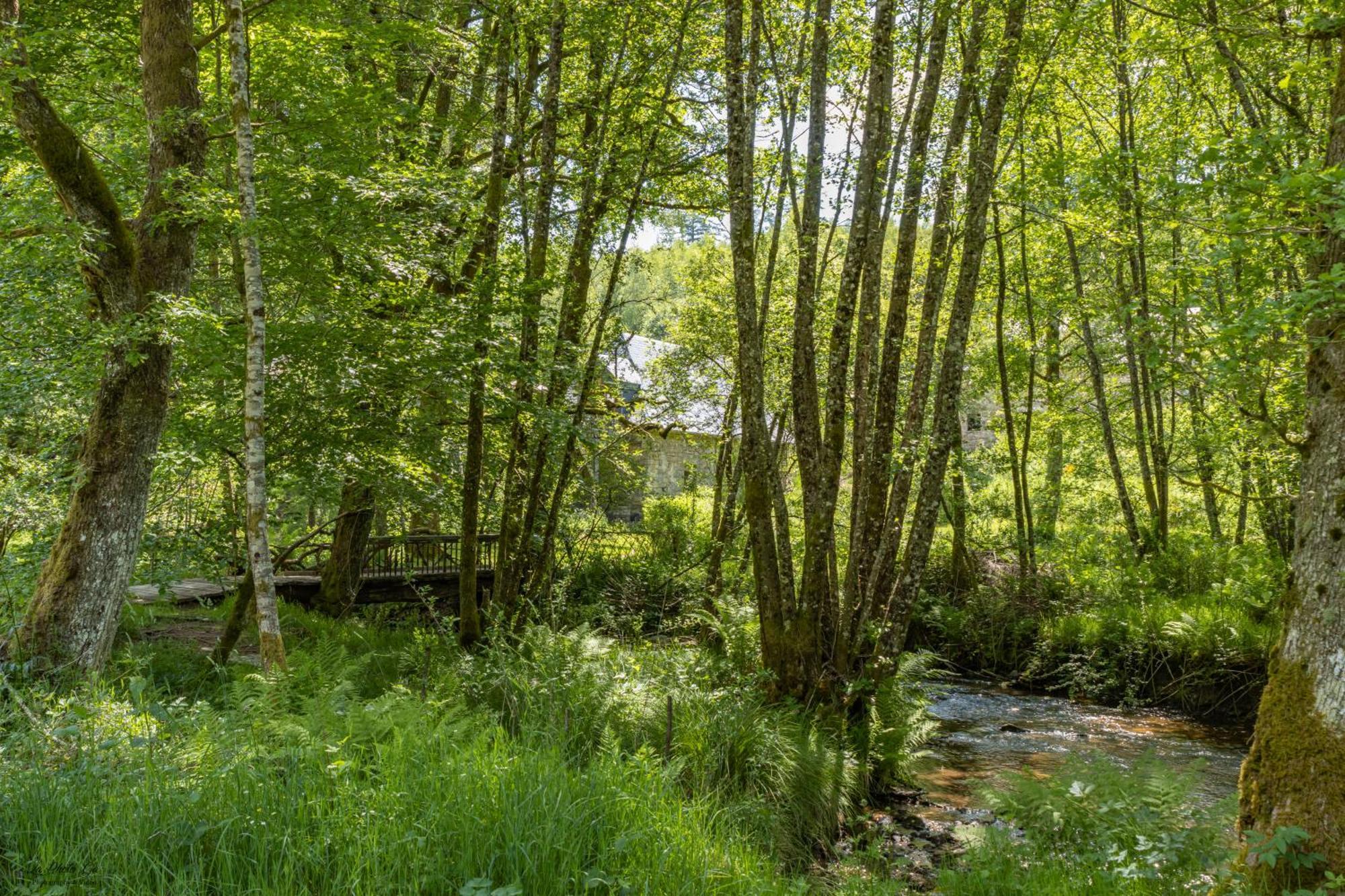Gite Nature Le Moulin Vitrac-sur-Montane Exterior photo