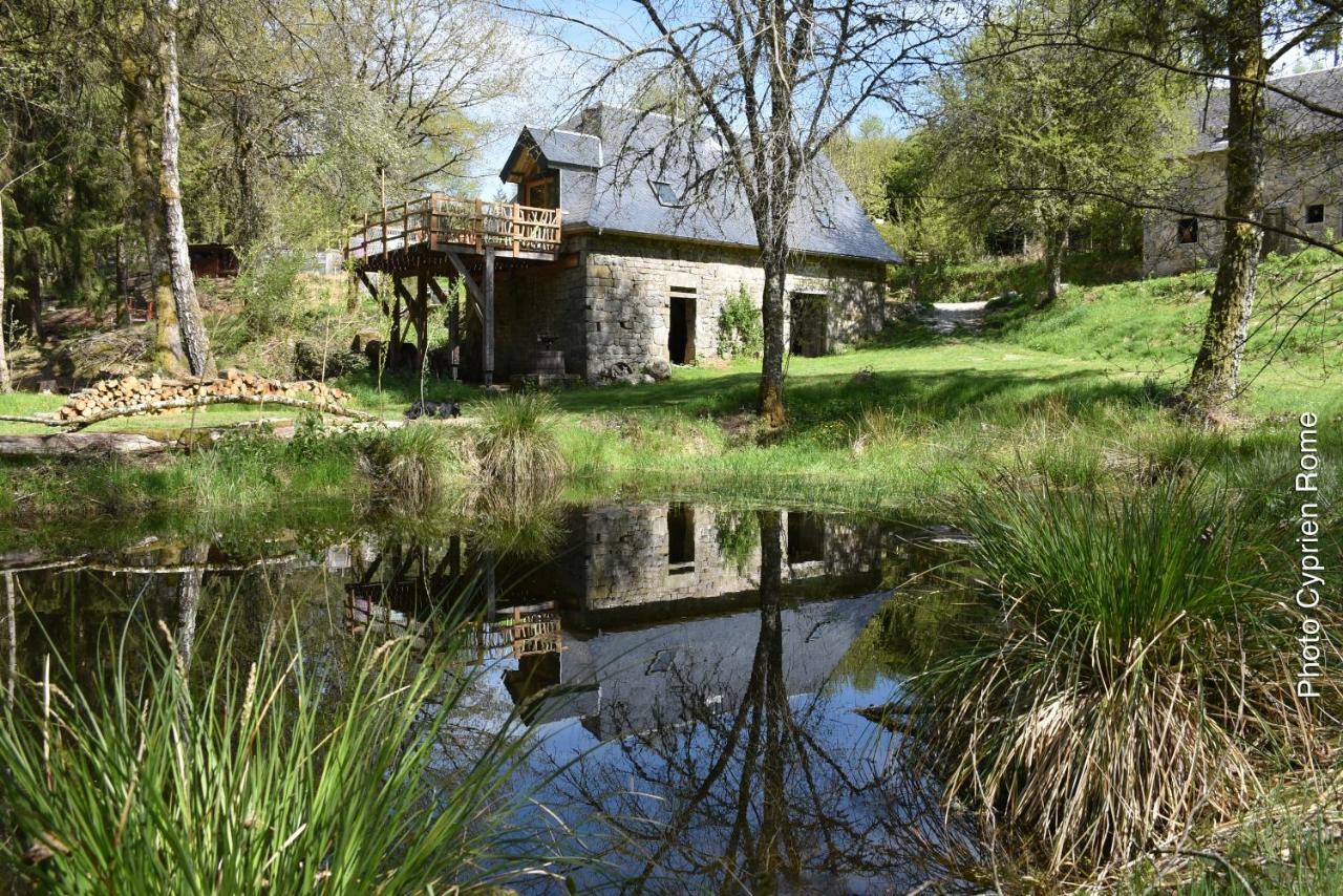 Gite Nature Le Moulin Vitrac-sur-Montane Exterior photo